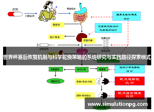 世界杯赛后恢复机制与科学轮换策略的系统研究与实践路径探索模式 世界杯赛后恢复机制与科学轮换策略的系统研究与实践路径探索模式